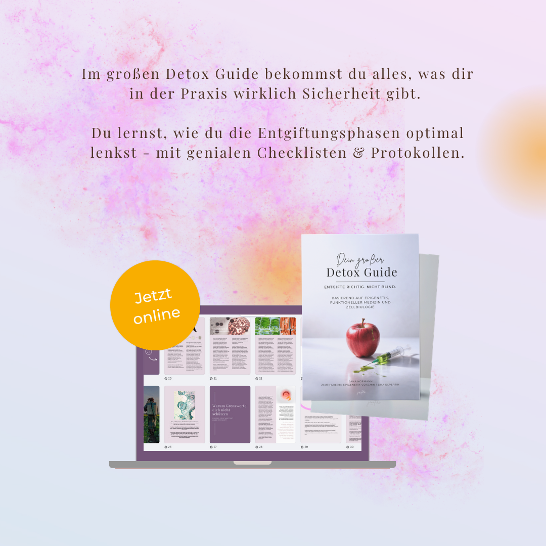 DETOX-Masterclass + Großer DETOX-Guide