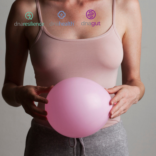 Premium-Bundle | Stress, Darm & Energie neu verstehen