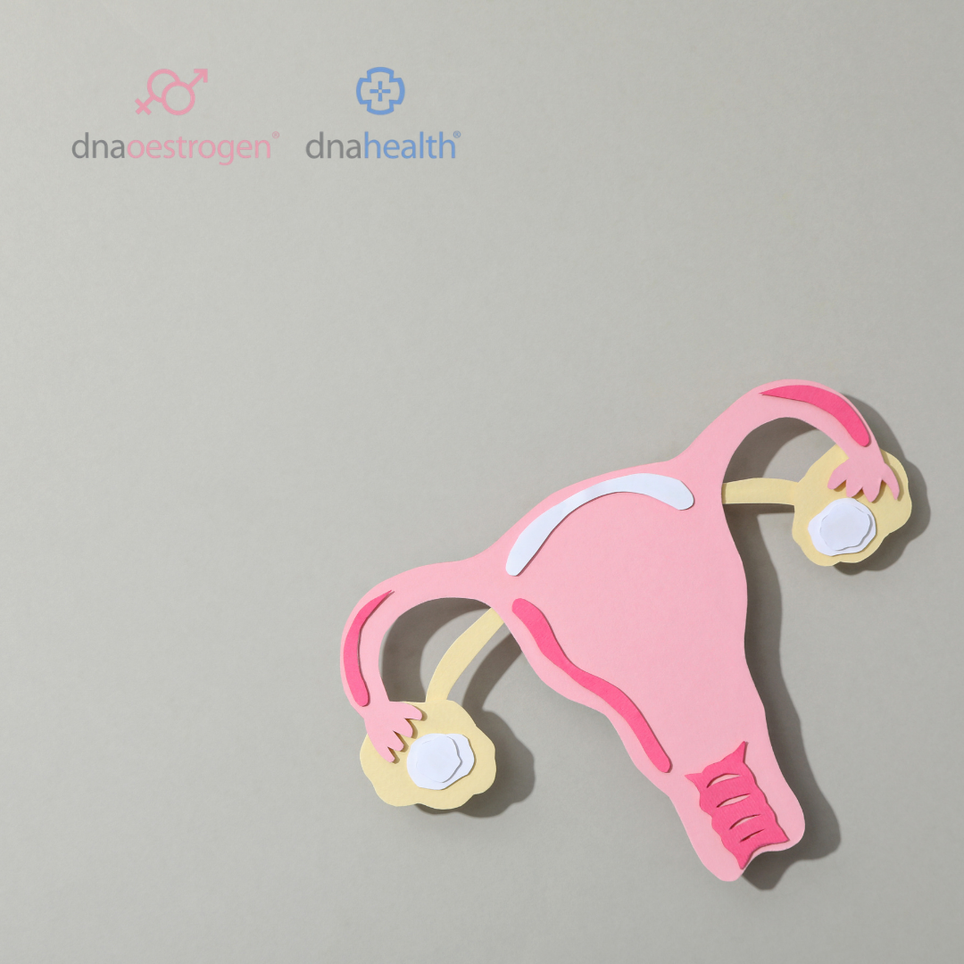 Dual-Bundle | Hormon Balance verstehen & regulieren